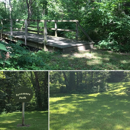 Three views of this walking Park showing the lush trail